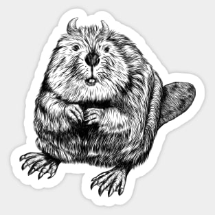 Evil beaver Sticker